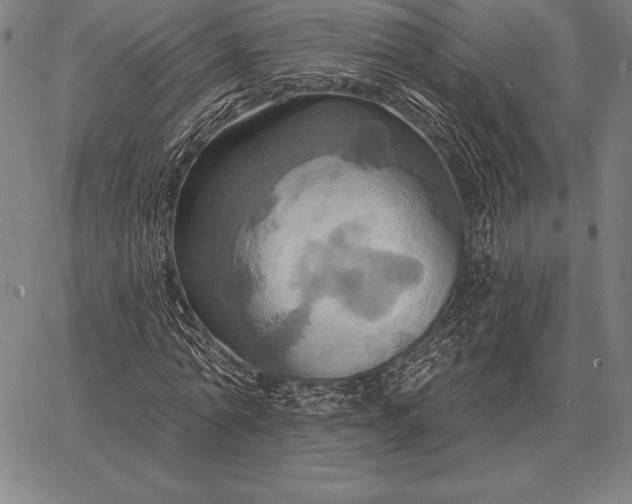 X0000067350774200604131750