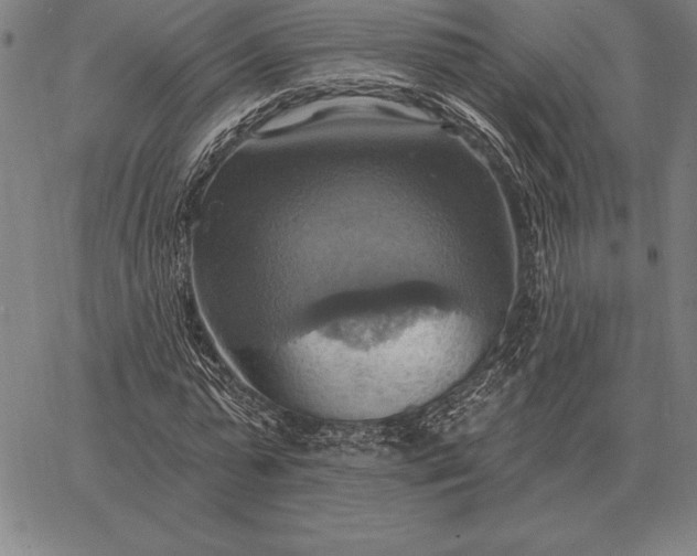 X0000067350775200604131750