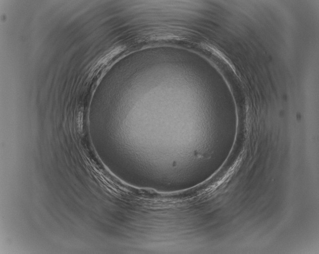 X0000067350777200604131750