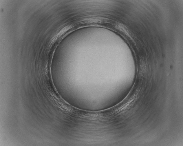 X0000067350778200604131750