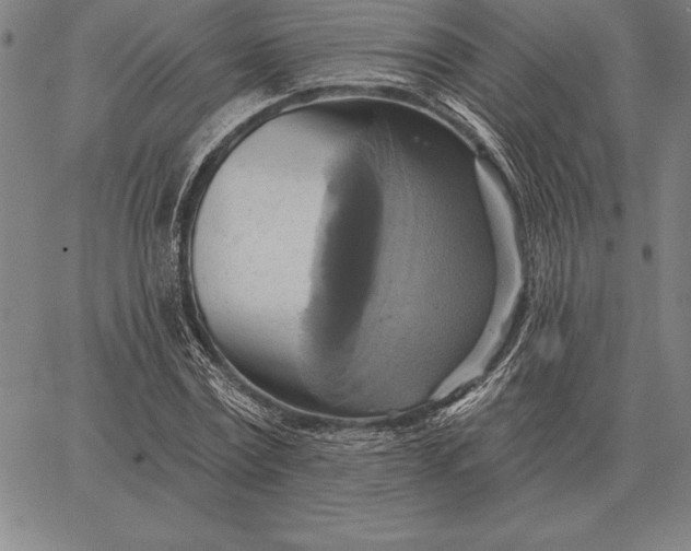 X0000067350779200604131749