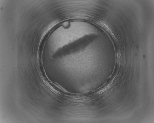 X0000067350780200604131749