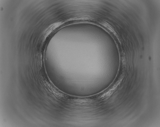 X0000067350781200604131749