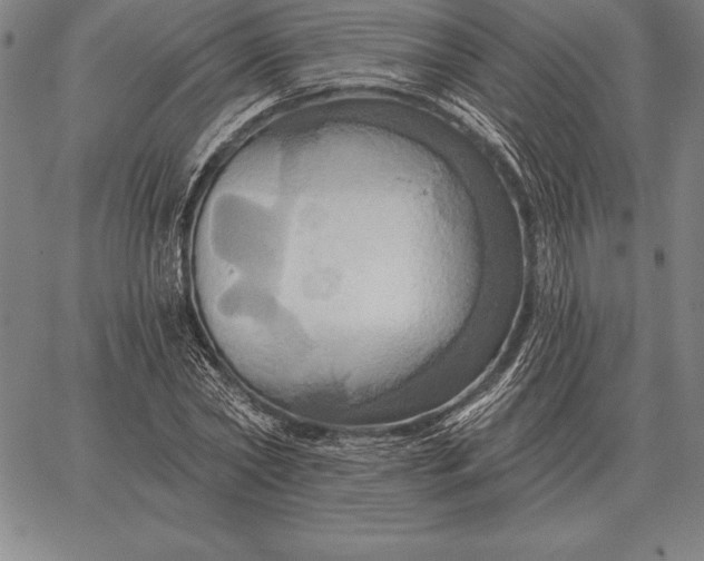 X0000067350782200604131749