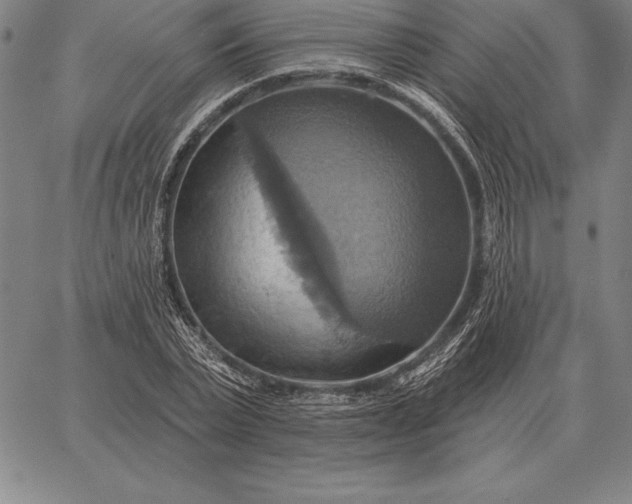 X0000067350783200604131749