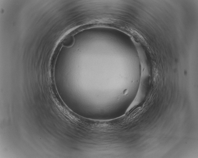 X0000067350784200604131749