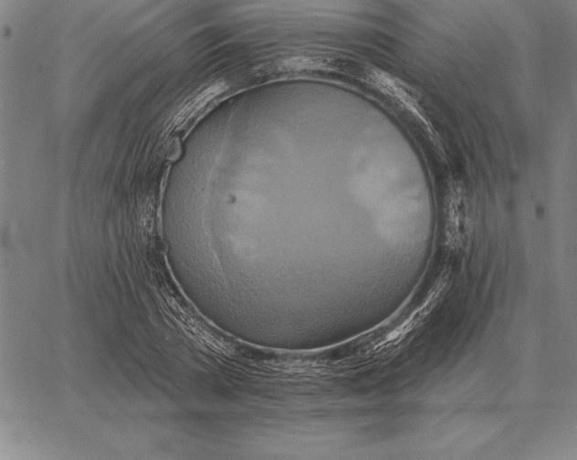 X0000067350785200604131749