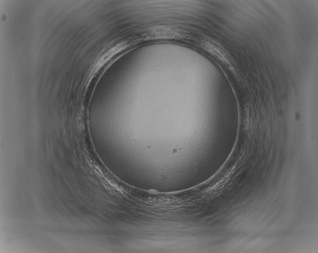 X0000067350786200604131749