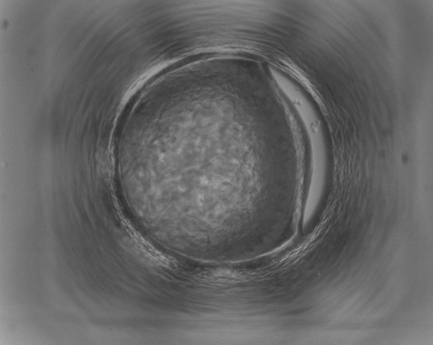 X0000067350787200604131749