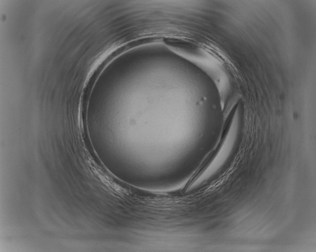 X0000067350788200604131749