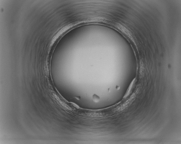 X0000067350789200604131749