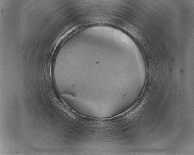 X0000067350790200604131749