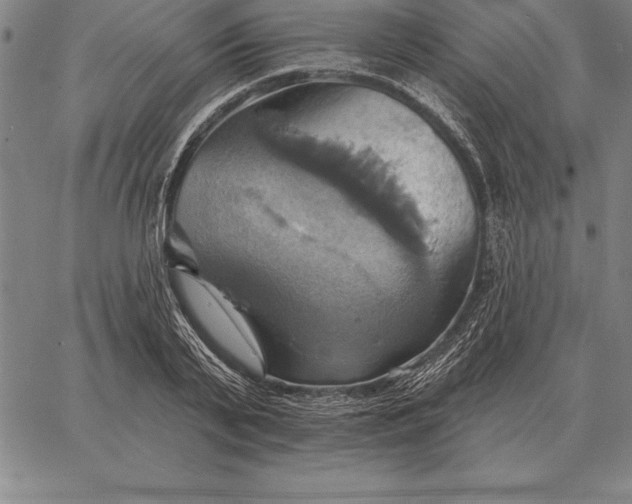 X0000067350791200604131749