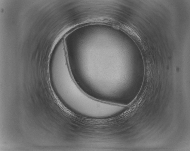 X0000067350792200604131749