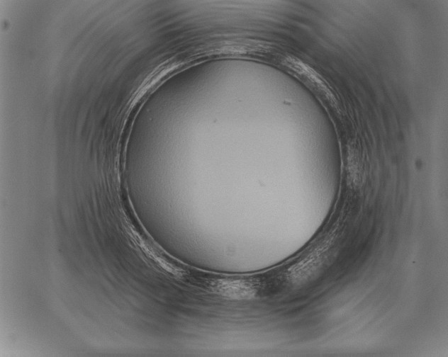 X0000067350794200604131749