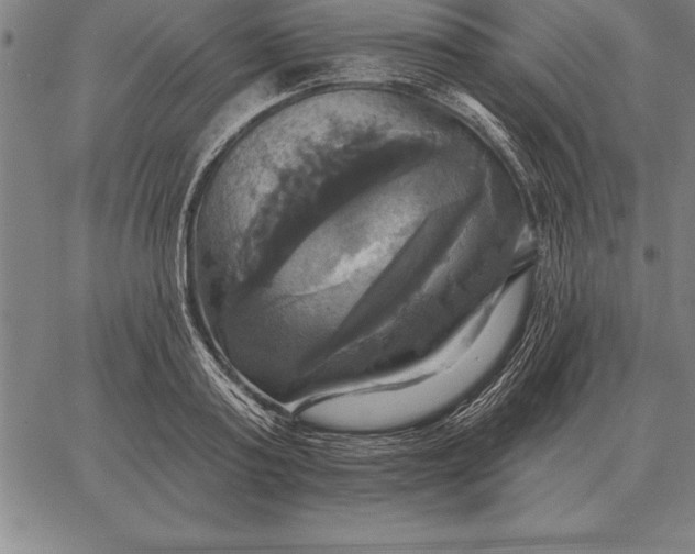 X0000067350795200604131749