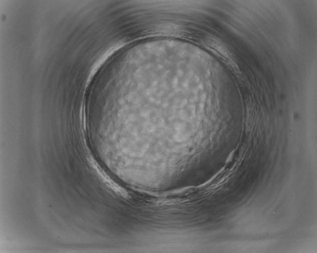 X0000067350796200604131749