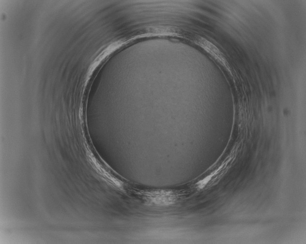 X0000067350797200604131749