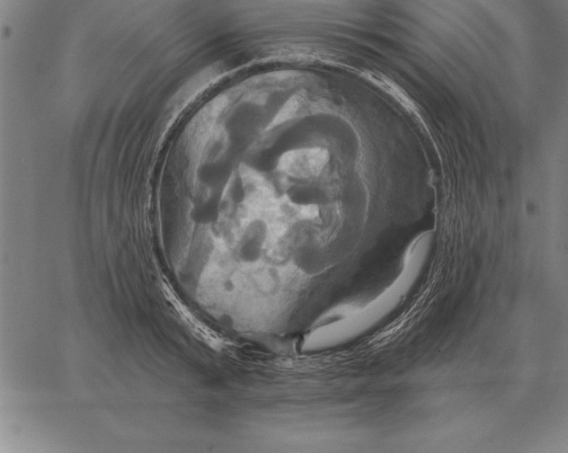 X0000067350799200604131749