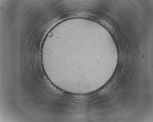 X0000067350800200604131749