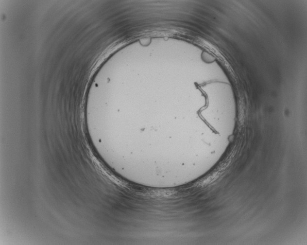 X0000067350802200604131749