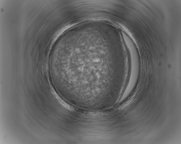 X0000067350803200604131749