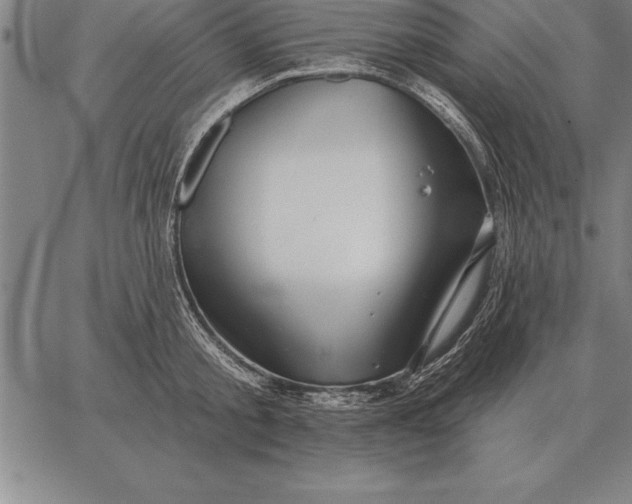 X0000067350805200604131749