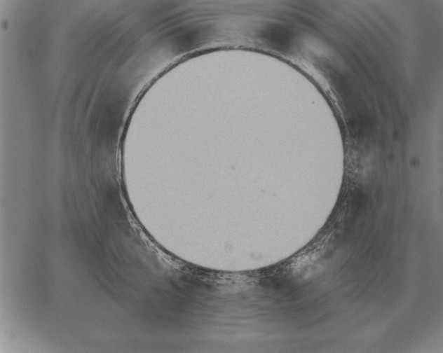 X0000067350807200604131749