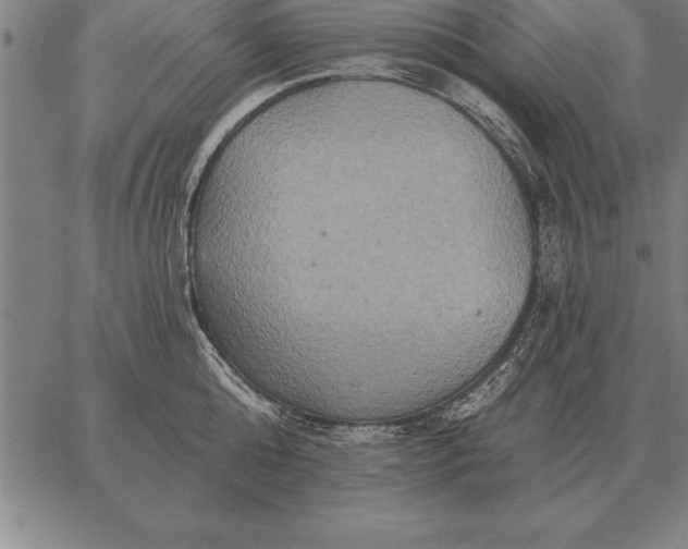 X0000067350808200604131749