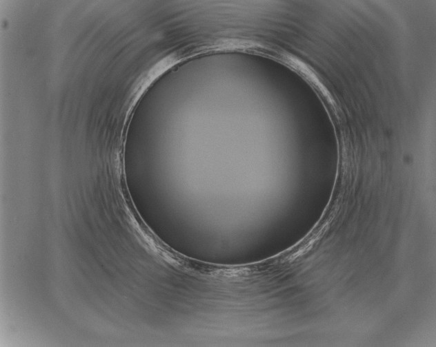 X0000067350810200604131749