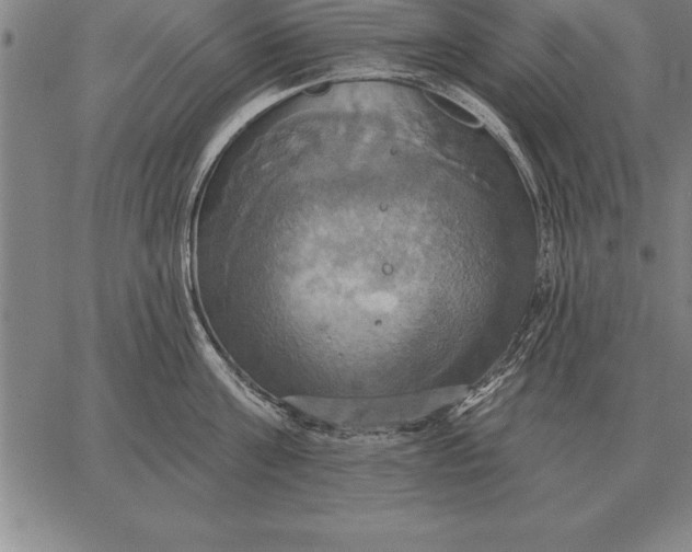 X0000067350811200604131749