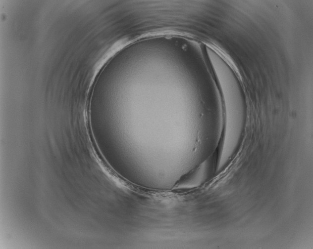 X0000067350813200604131749