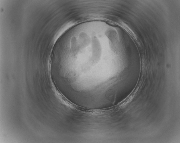 X0000067350814200604131749