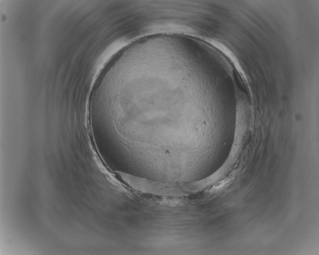 X0000067350815200604131749