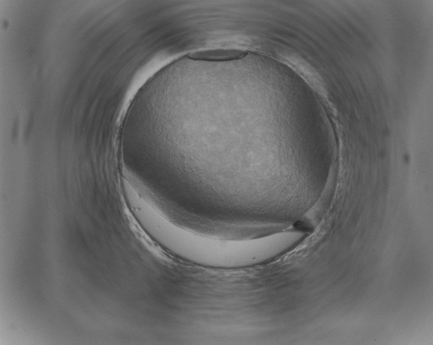 X0000067350816200604131749