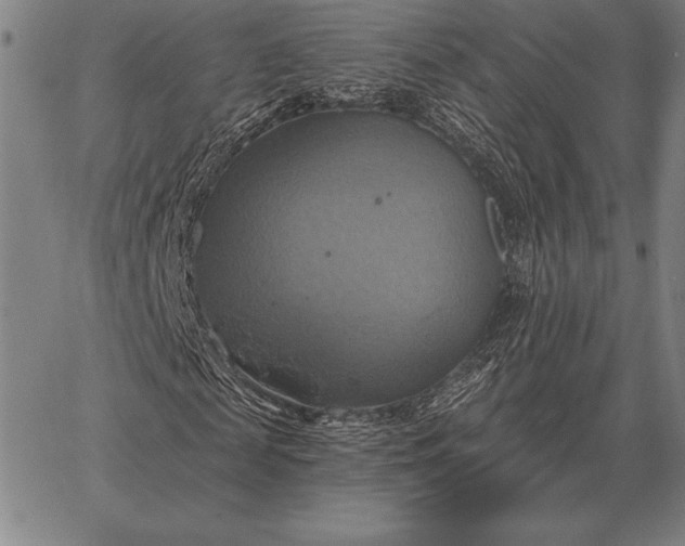 X0000067350817200604131748