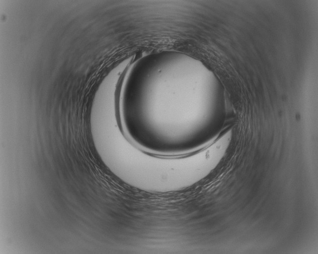 X0000067350818200604131748