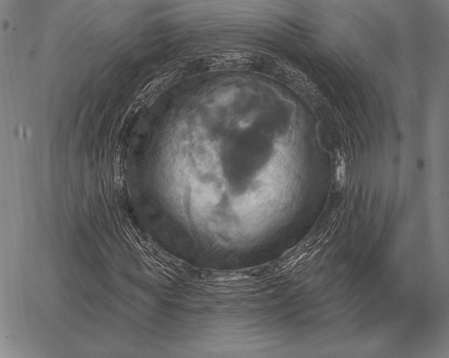 X0000067350819200604131748