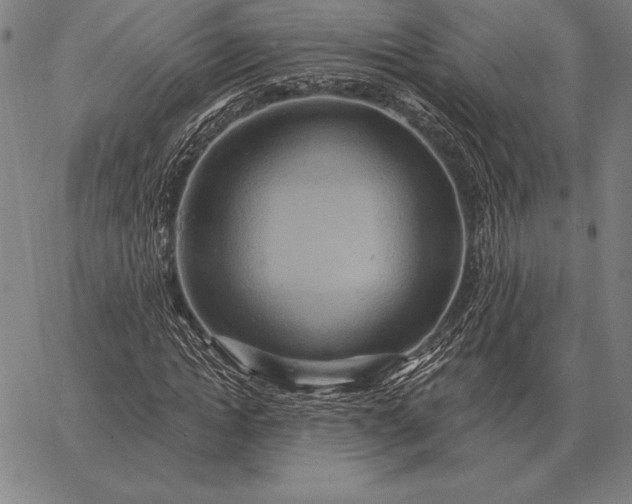 X0000067350822200604131748