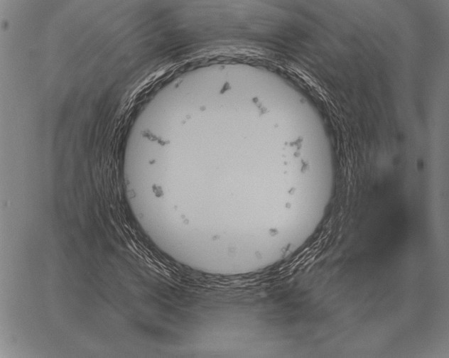 X0000067350824200604131748