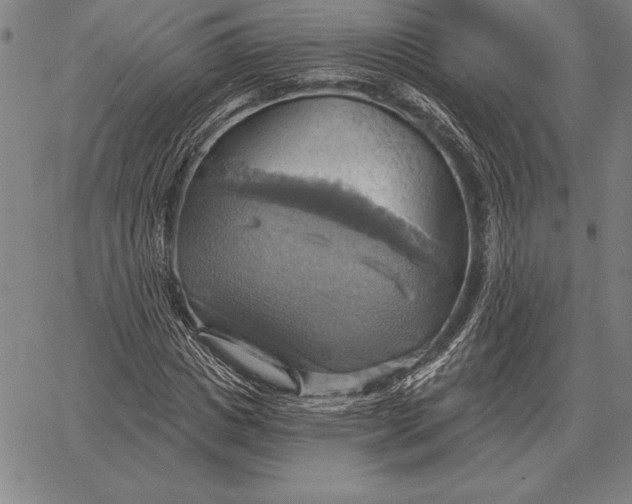 X0000067350825200604131748