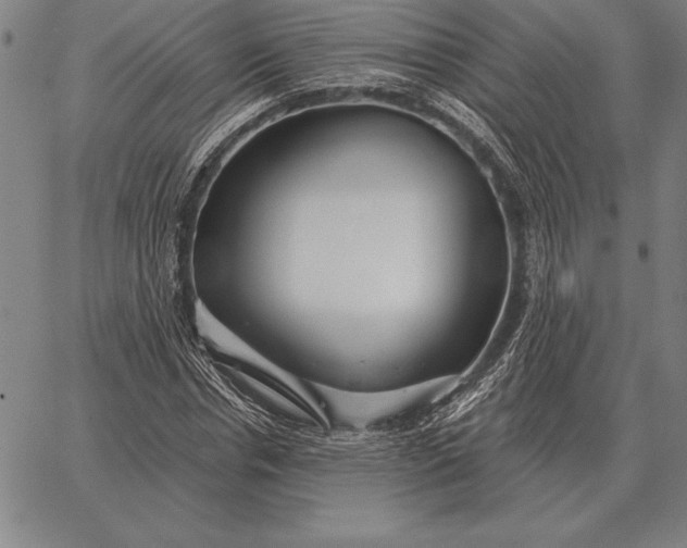 X0000067350826200604131748