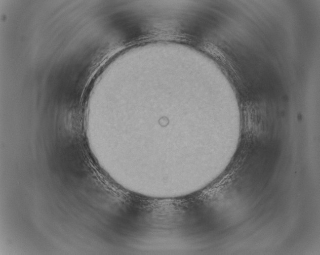 X0000067350828200604131748