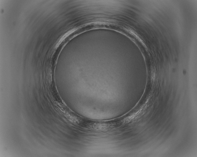 X0000067350829200604131748