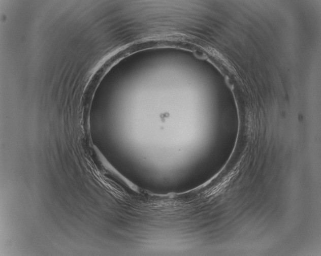 X0000067350830200604131748