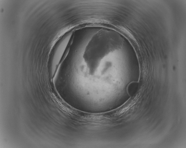 X0000067350831200604131748