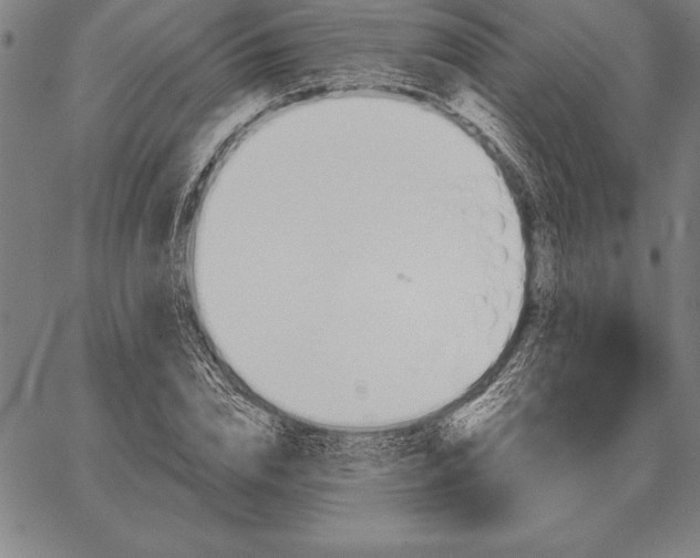 X0000067350832200604131748