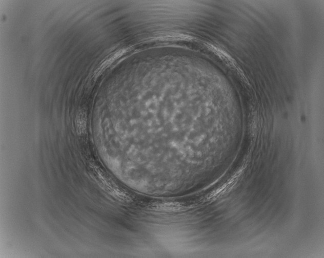 X0000067350833200604131748