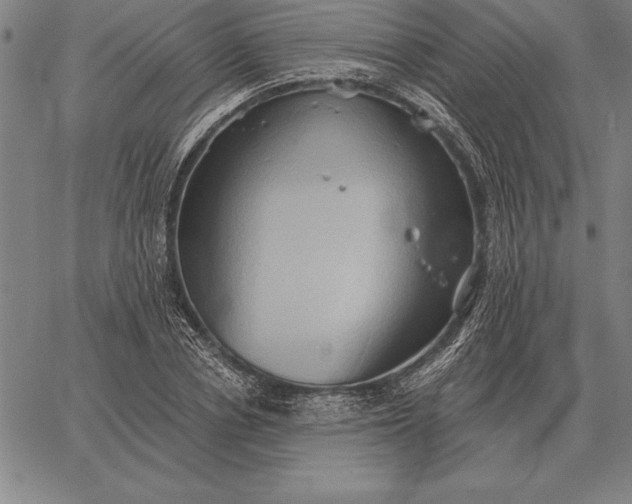 X0000067350834200604131748