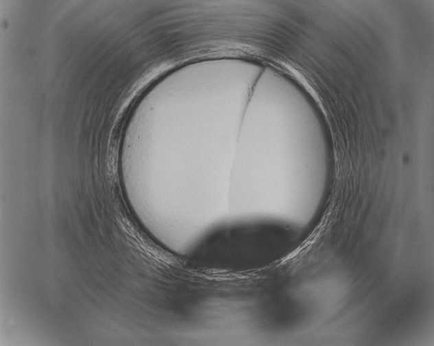 X0000067350835200604131748